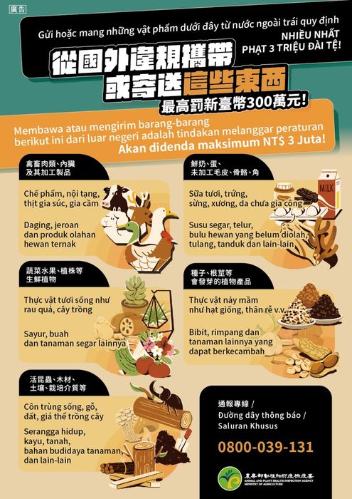 【轉知】僑務委員會來函有關為防範非洲豬瘟等境外動物傳染病入侵，宣導相關規定，以免受罰。圖片